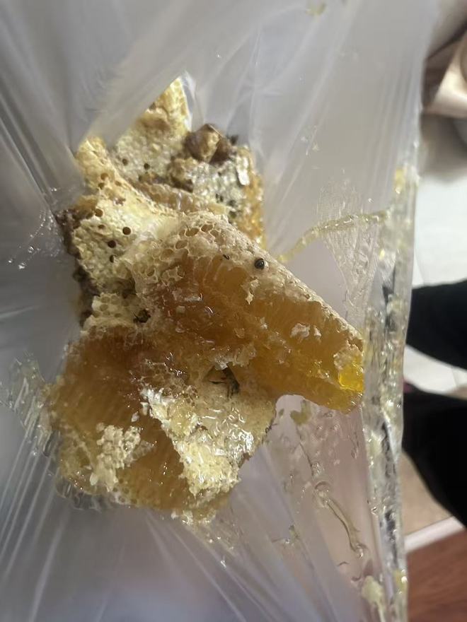 家里总有蜜蜂？青岛一市民家中发现蜂巢破墙翻出三四十斤蜂蜜