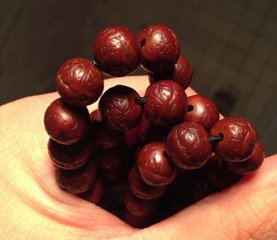 什么是凤眼菩提